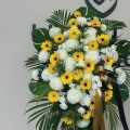 FW-0124