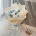 Soap HB-0035