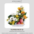 FLOWER FRUIT 23