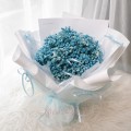 Fresh HB-0095