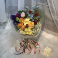 Fresh HB-0099