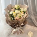 Fresh HB-0100
