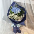 Fresh HB-0111