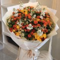 Fresh HB-0116