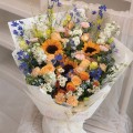 Fresh HB-0117