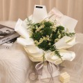 Fresh HB-0123