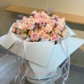 Fresh HB-0126