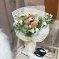 Fresh HB-0127