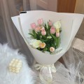 Fresh HB-0129