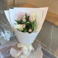 Fresh HB-0129
