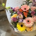 Fresh HB-0132