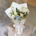 Fresh HB-0138