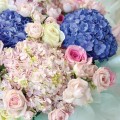 Fresh HB-0140