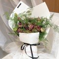 Fresh HB-0141