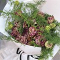 Fresh HB-0141