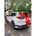 CAR DECO (WC01)
