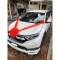 CAR DECO (WC01)