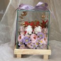 Lucky Cat-0086