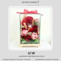LC 05 开张招财猫