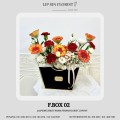 F.BOX 02