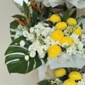 FW-0132