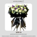 NFW 01