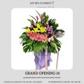 GRAND OPENING 14