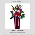 GRAND OPENING 1