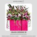 GRAND OPENING 29