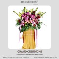 GRAND OPENING 46
