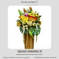 GRAND OPENING 47