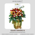 GRAND OPENING 51