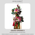 GRAND OPENING 5