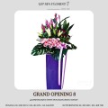 GRAND OPENING 8