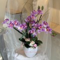 VASE-0013