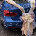 CAR DECO (WC02)